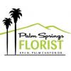 palmsprings's Avatar