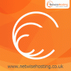 netwisehosting's Avatar